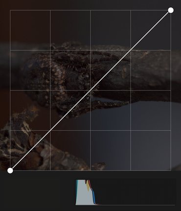Pixigy curves tool over an unedited underexposed RAW macro spider photo, showing the default curve and histogram concentrated left